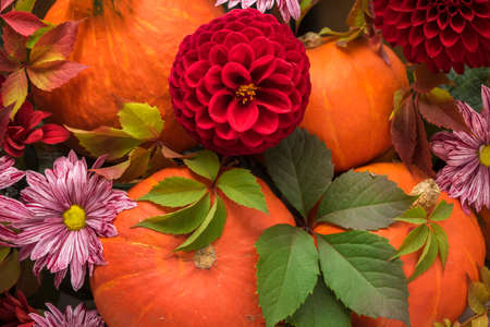 Thanksgiving pumpkins with flowers and autumn leaves. Autumn backgroundの写真素材