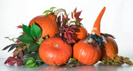 Thanksgiving pumpkins with flowers and autumn leaves. Autumn backgroundの写真素材