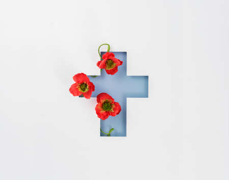 Anzac day. Remembrance day poppy symbol with paper cross. Australia and New Zealand national day of commemoration. Memorial day of the First World Warの写真素材