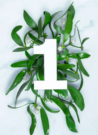 Layout with mistletoe branches and number one. Top view