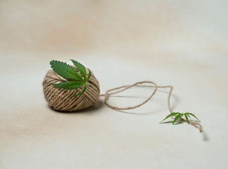 natural hemp thread or rope with cannabis leaves