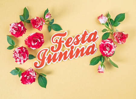 Festa Junina party background with rose flowers. Brazilian summer harvest festivalの写真素材