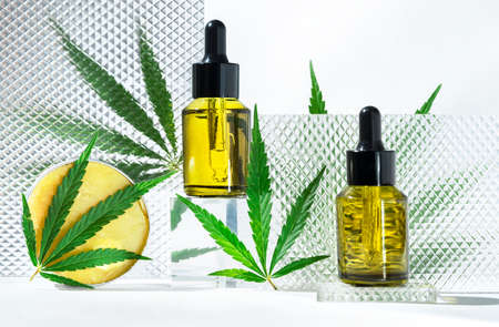 hemp cosmetic oil or serum, treatment for hair and scalpの写真素材