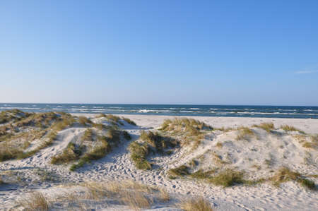 Sand dune at the beachの写真素材