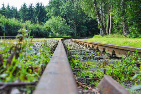 Railway goes to woodの写真素材