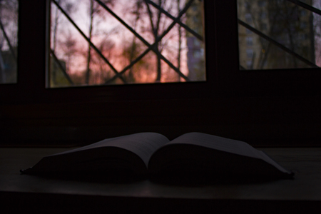 the bookの写真素材
