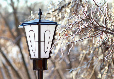 Street Lantern and frozen tree branch closeupの写真素材