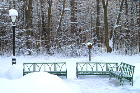 Green benches and lantern in front of winter forestの写真素材