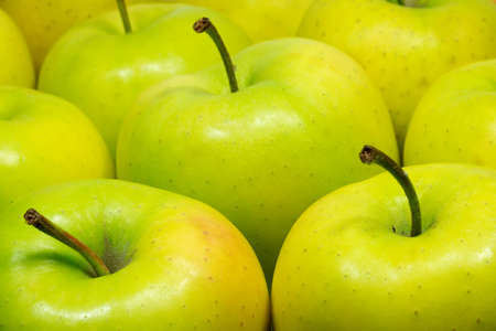 Tasty green appetizing fresh apples closeupの写真素材