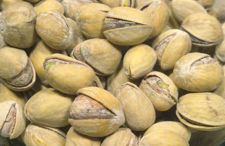Many ripe pistachios closeup