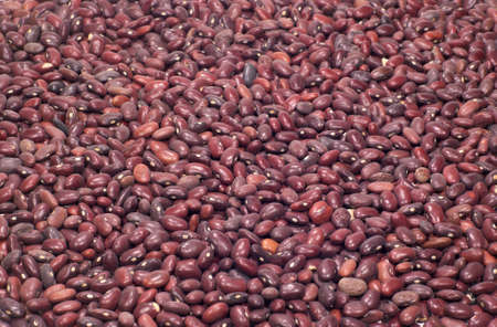 Many raw haricot beans as background closeupの写真素材
