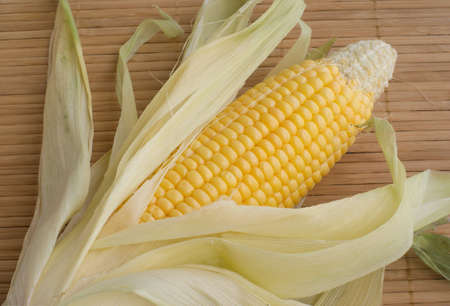 Single ripe corn cob on table napkin