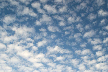 Landscape with many high clouds on summer blue sky
