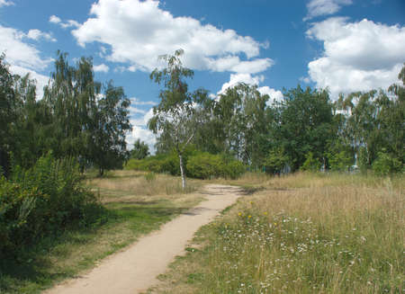 Summer Nature landscape with trees and white cloud on blue sky