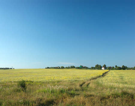 Rural summer landscape with path through meadow to houses on skylineの写真素材