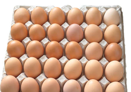 Lot of brown chicken eggs in packaging cells isolated on white closeup