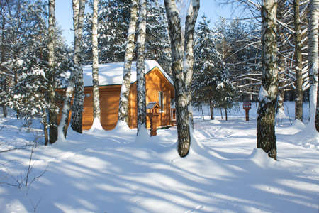 Small Brown wooden house in winter forest on white snow under clear blue skyのeditorial素材