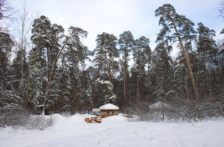 Landscape with recreation place in winter woodsの写真素材