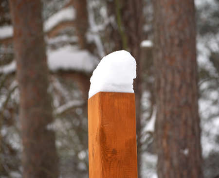 Top of brown wooden pole with snow cap in winter forest closeupの写真素材