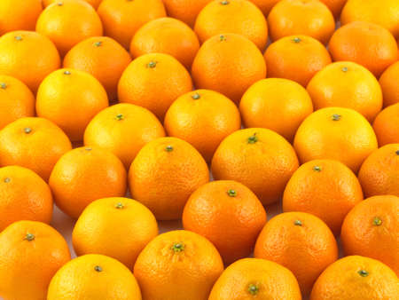 Many ripe orange tangerines as closeupの写真素材