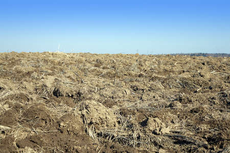 Plowed field against a cloudless blue sky in sunny spring day