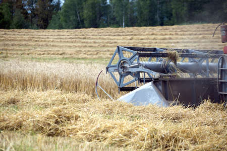Grain harvester agricultural rotary combine in a field on summer day. Photo closeup