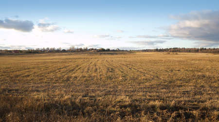 Country landscape with a field and a village tucked away in the background on a bright sunny autumn day in the afternoonの写真素材