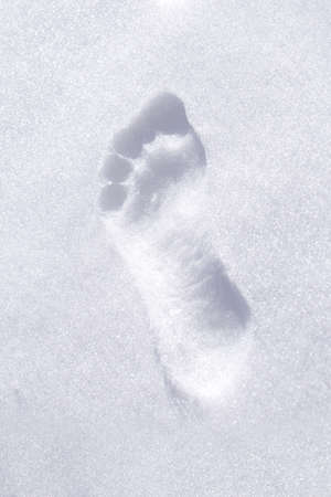 Barefoot footprint on clear white snow in winter vertical closeupの写真素材
