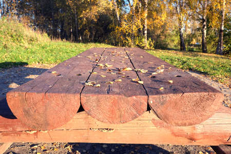 Long wooden table from logs on place for rest at the glade in autumn forest with yellow leaves hangs on branches front view closeupの写真素材