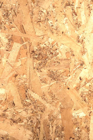 OSB panel. Rear side view. Chipboard building material made of pressed sandy brown wood shavings as...
