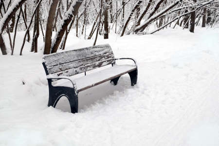 Empty brown wooden bench outdoor in the park in winter day view closeup