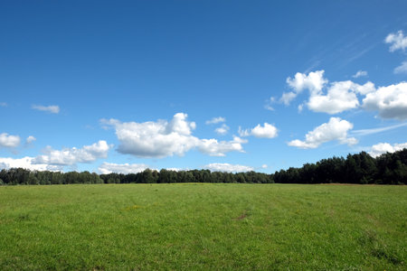 Beautiful countryside landscape with wide green field and deciduous forest at far under white clouds on blue sky in the hot summer dayの写真素材