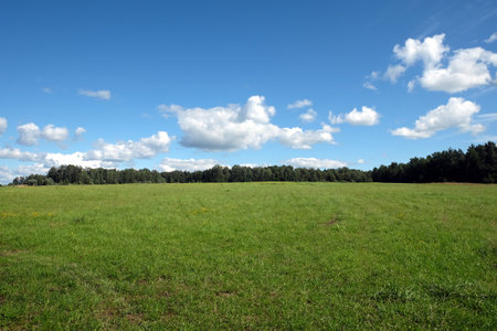 Beautiful countryside landscape with large green field and deciduous forest at far under white clouds on blue sky in the hot summer dayの写真素材