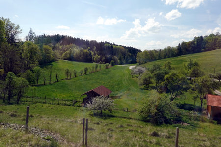 Alpine landscape with foothill lowland with small meadows and blossoming trees under beautiful sky in sunny dayの写真素材