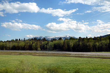 Beautiful landscape with blossoming alpine meadows with green grass and Alps mountains with snow caps at far away after dense forest under blue sky with white clouds view from fast train window on briの写真素材
