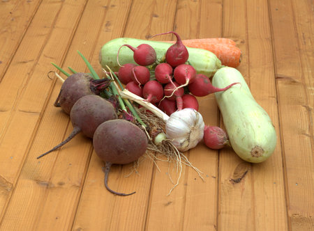 Still life with crop of ripe beetroots, carrots, onion, radishes, squash and garlic on brown wooden table closeup viewの写真素材