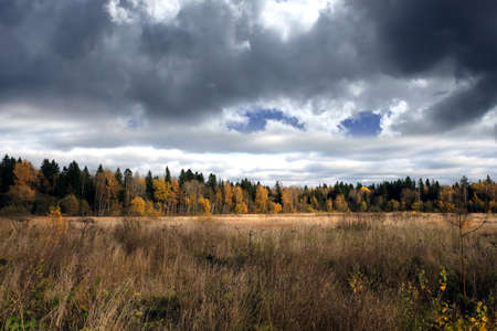 Beautiful landscape with field and forest with in autumn colors on overcast day horizontal viewの写真素材