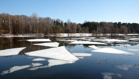 Natural landscape with ice floes adrift on the spring river and forest trees on opposite bank under cloudless blue sky on sunny day panoramic viewの写真素材