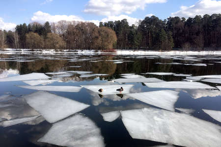 Beautiful natural landscape with ice floes adrift on the spring river and forest trees on opposite bank under clouds on blue sky reflected in the water horizontal viewの写真素材