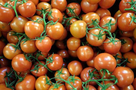 Still life with lot of small ripe red tomatoes on branches as background top view close upの写真素材
