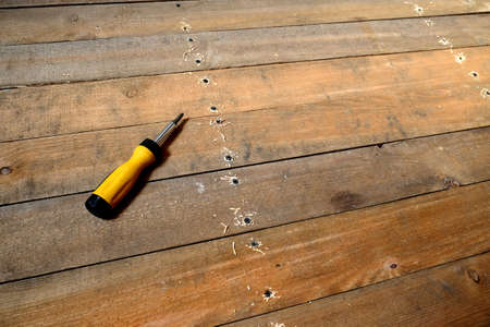 Repair of wooden floor. Screwdriver and rows of many twisted screws top view closeupの写真素材