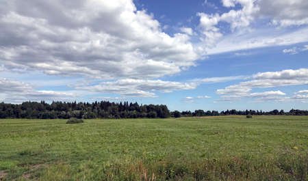 Beautiful panoramic countryside landscape with green field, mixed forest and white clouds on blue sky in the midday on summerの写真素材