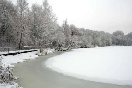 Beautiful landscape with snowy trees at the edge of frozen lake in park zone and the forest at far at gloomy winter dayの写真素材