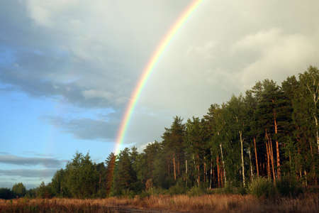 Rural landscape with rainbow and beautiful sky colors after rain at the edge of the pine forest in early autumn dayの写真素材
