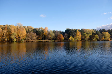 Calm countryside landscape with quiet river and motley autumn colorful forest after it under blue sky horizontal viewの写真素材