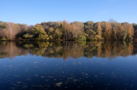 Calm rural landscape with calm still river and motley autumn colorful forest after it under blue cloudless skyの写真素材
