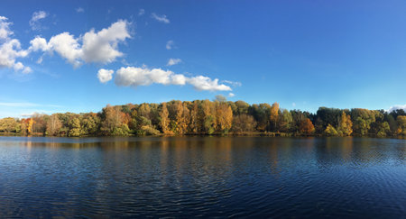 Calm panoramic countryside landscape with quiet river and motley autumn colorful forest after it under blue sky with white cloudsの写真素材