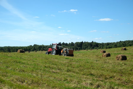 Countryside landscape with tractor working in the long field with many rolled dry hay at the edge of the forest on bright sunny summer dayの写真素材