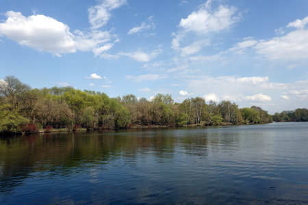 Calm countryside landscape with forest near the water in spring dayの写真素材