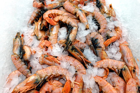 Lot of frozen unpeeled red shrimps lies on the ice in showcase in sea food store top view close upの写真素材